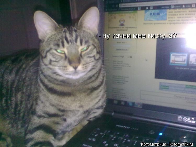 Котоматрица: - ну качни мне киску, а?