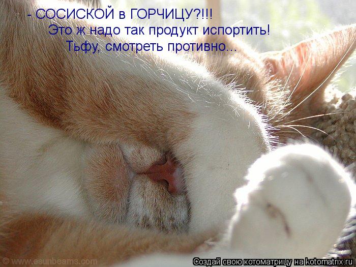 Котоматрица: - СОСИСКОЙ в ГОРЧИЦУ?!!! Это ж надо так продукт испортить! Тьфу, смотреть противно...