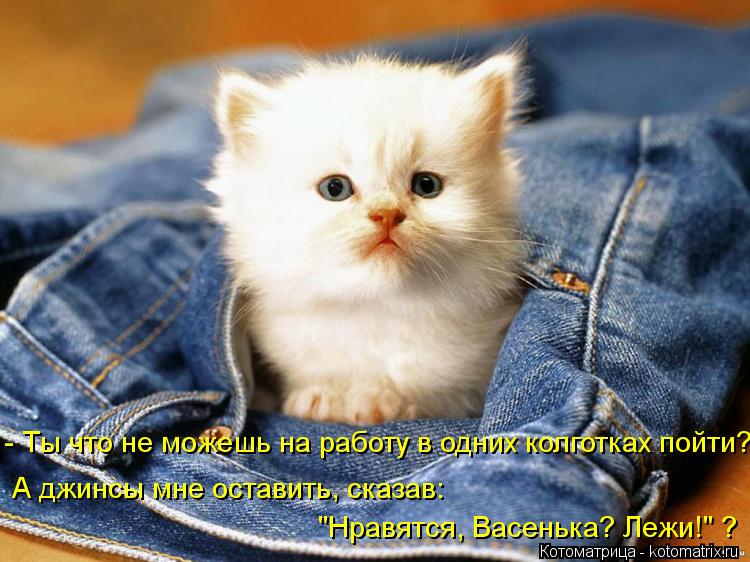 Котоматрица: "Нравятся, Васенька? Лежи!" ? - Ты что не можешь на работу в одних колготках пойти? А джинсы мне оставить, сказав: