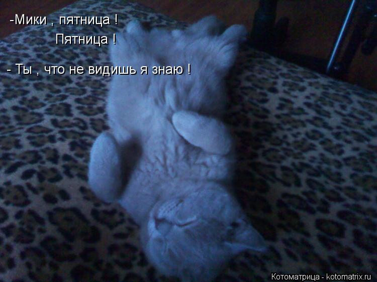 Котоматрица: -Мики , пятница ! Пятница ! - Ты , что не видишь я знаю !