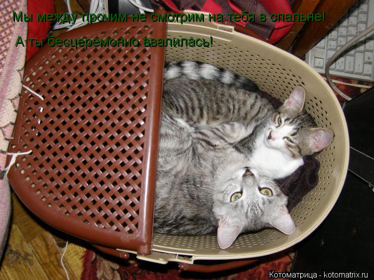Котоматрица: Мы между прочим не смотрим на тебя в спальне! А ты бесцеремонно ввалилась!