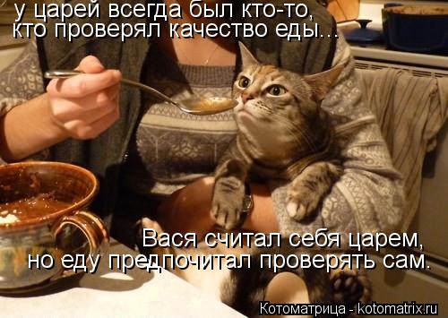 Котоматрица: у царей всегда был кто-то, кто проверял качество еды... Вася считал себя царем, но еду предпочитал проверять сам.