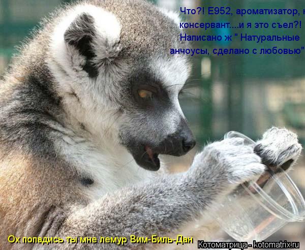 Что?! Е952, ароматизатор, консервант.... консервант....и я это съел?! анчоусы, сделано с любовью" Н... Котоматрица: Что?! Е952, ароматизатор, консервант.... консервант....и я это съел?! анчоусы, сделано с любовью" Написано ж " Натуральные Ох попадись ты мне лему