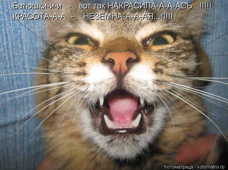 ...Батюшки-и-и ..- ..вот так НАКРАСИЛА-А-А-АСЬ...!!!!! ..КРАСОТА-А-А - ..НЕЗЕМНА-А-А-АЯ...!!!!!... Котоматрица: ...Батюшки-и-и ..- ..вот так НАКРАСИЛА-А-А-АСЬ...!!!!! ..КРАСОТА-А-А - ..НЕЗЕМНА-А-А-АЯ...!!!!!