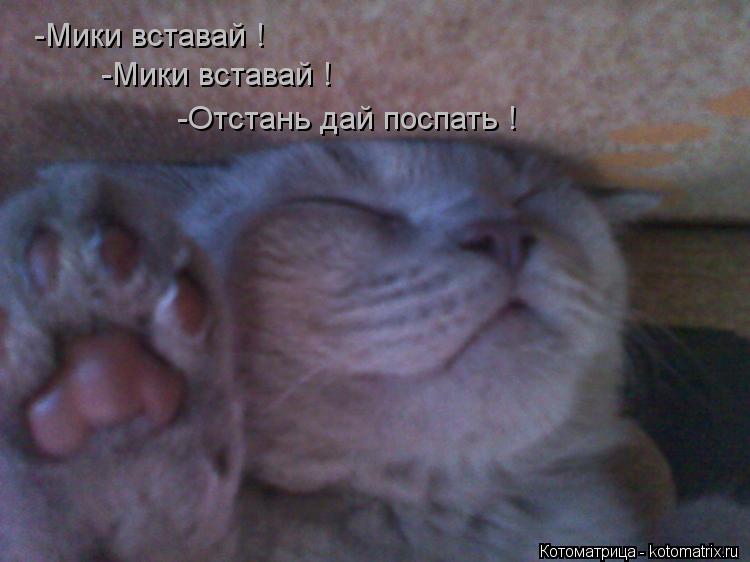 Котоматрица: -Мики вставай ! -Мики вставай ! -Отстань дай поспать !