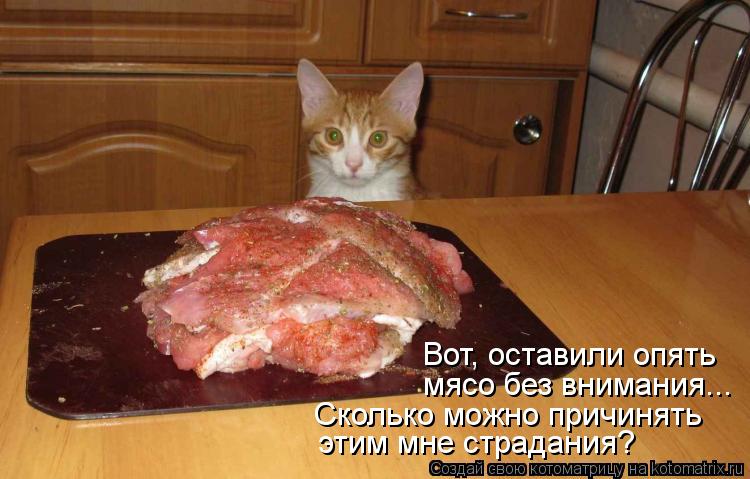 Котоматрица: мясо без внимания... Сколько можно причинять этим мне страдания? Вот, оставили опять