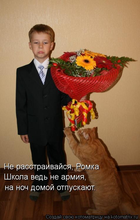 Не расстраивайся, Ромка Школа ведь не армия, на ноч домой отпускают.... Котоматрица: Не расстраивайся, Ромка Школа ведь не армия, на ноч домой отпускают.