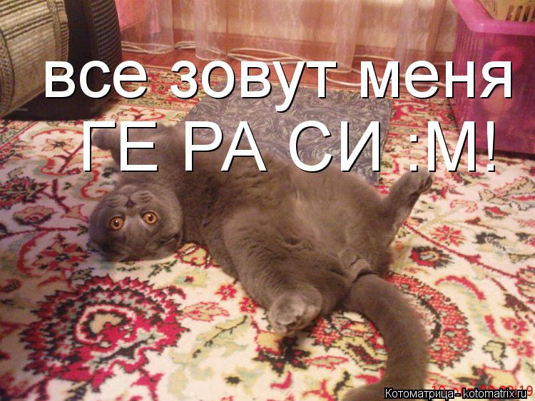 Котоматрица: все зовут меня ГЕ РА СИ :М!  ГЕ РА СИ :М!