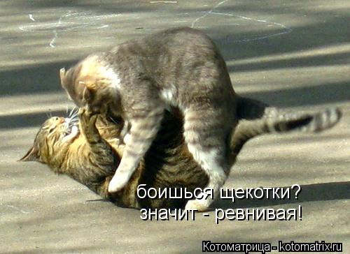 Котоматрица: боишься щекотки? значит - ревнивая!