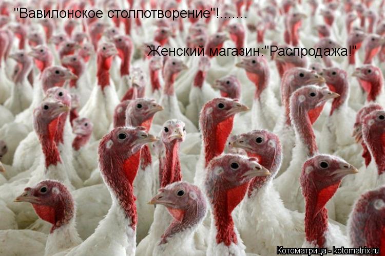 Котоматрица: "Вавилонское столпотворение"!....... Женский магазин:"Распродажа!"