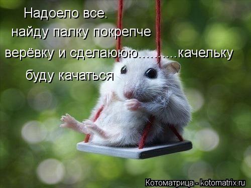 Котоматрица: Надоело все… найду палку покрепче верёвку и сделаююю..........качельку буду качаться
