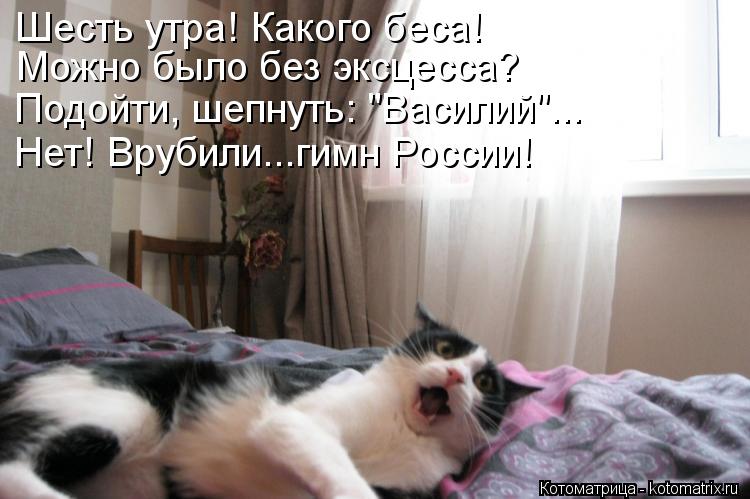 Шесть утра! Какого беса! Можно было без эксцесса? Подойти, шепнуть: "Василий"... Нет! Врубили...гимн ... Котоматрица: Шесть утра! Какого беса! Можно было без эксцесса? Подойти, шепнуть: "Василий"... Нет! Врубили...гимн России!