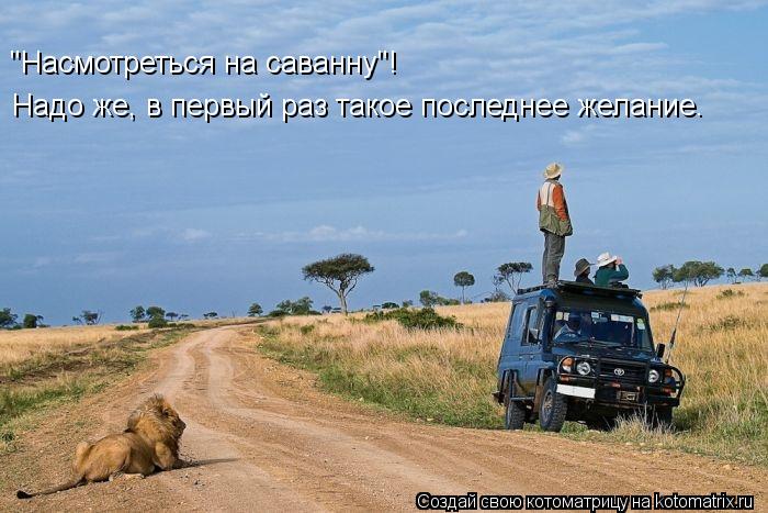 Котоматрица: Надо же, в первый раз такое последнее желание. "Насмотреться на саванну"!