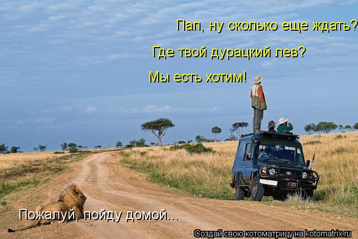Пап, ну сколько еще ждать? Где твой дурацкий лев? Мы есть хотим! Пожалуй, пойду домой...... Котоматрица: Пап, ну сколько еще ждать? Где твой дурацкий лев? Мы есть хотим! Пожалуй, пойду домой...