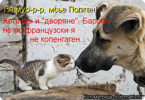 Ля мур-р-р, мсье Полкан! Хоть мы и "дворяне", Барсик, но по-французски я не копенгаген...... Котоматрица: Ля мур-р-р, мсье Полкан! Хоть мы и "дворяне", Барсик, но по-французски я не копенгаген...
