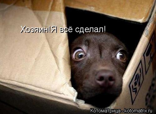Хозяин!Я всё сделал!... Котоматрица: Хозяин!Я всё сделал!