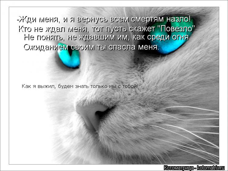 -Жди меня, и я вернусь всем смертям назло! Кто не ждал меня, тот пусть скажет "Повезло" Не понять, не... Котоматрица: -Жди меня, и я вернусь всем смертям назло! Кто не ждал меня, тот пусть скажет "Повезло" Не понять, не ждавшим им, как среди огня Ожиданием своим