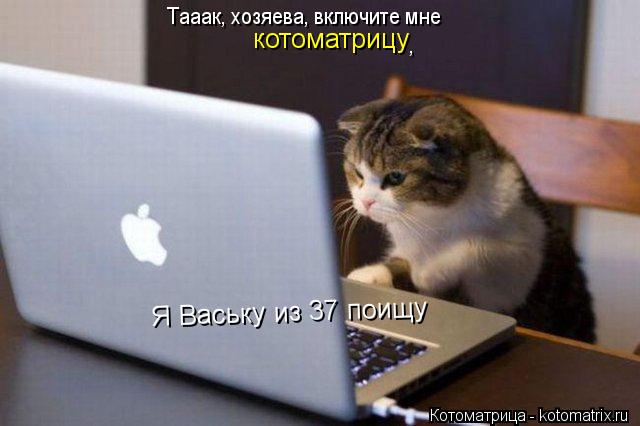 Тааак, хозяева, включите мне , котоматрицу Я Ваську из 37 поищу... Котоматрица: Тааак, хозяева, включите мне , котоматрицу Я Ваську из 37 поищу