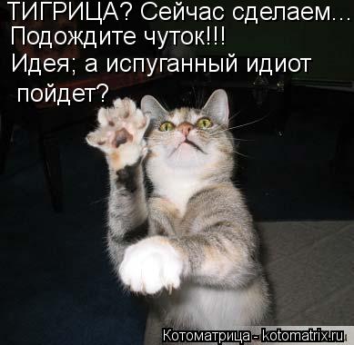 ТИГРИЦА? Сейчас сделаем... Подождите чуток!!! Идея; а испуганный идиот пойдет?... Котоматрица: ТИГРИЦА? Сейчас сделаем... Подождите чуток!!! Идея; а испуганный идиот пойдет?