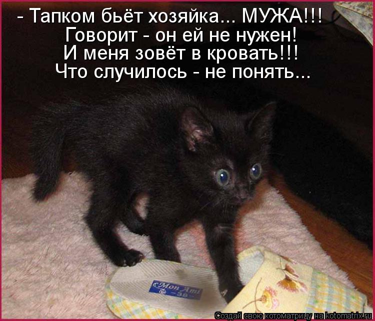 - Тапком бьёт хозяйка... МУЖА!!! Говорит - он ей не нужен! И меня зовёт в кровать!!! Что случилось -... Котоматрица: - Тапком бьёт хозяйка... МУЖА!!! Говорит - он ей не нужен! И меня зовёт в кровать!!! Что случилось - не понять...