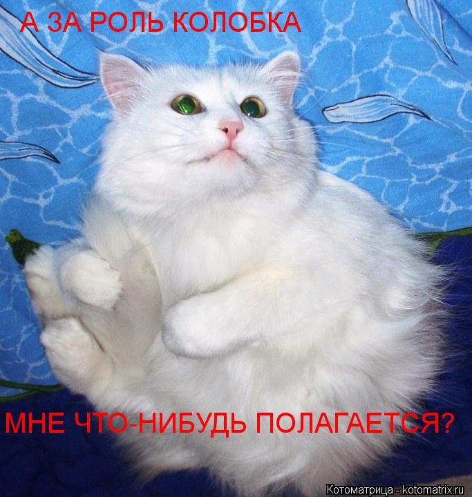 Котоматрица: А ЗА РОЛЬ КОЛОБКА  МНЕ ЧТО-НИБУДЬ ПОЛАГАЕТСЯ?