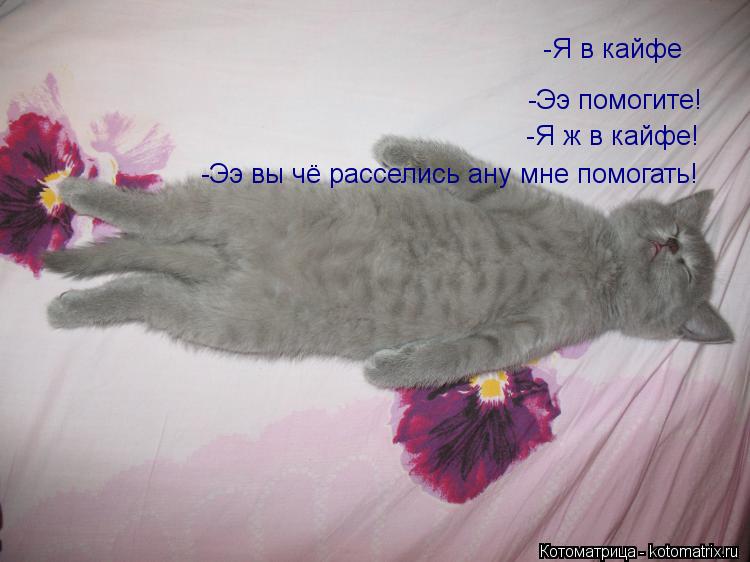 -Я в кайфе -Ээ помогите! -Я ж в кайфе! -Ээ вы чё расселись ану мне помогать!... Котоматрица: -Я в кайфе -Ээ помогите! -Я ж в кайфе! -Ээ вы чё расселись ану мне помогать!