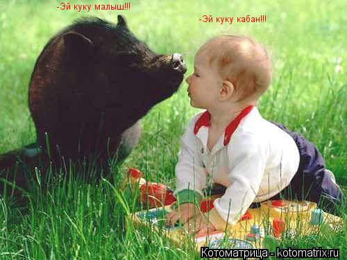-Эй куку кабан!!! -Эй куку малыш!!!... Котоматрица: -Эй куку кабан!!! -Эй куку малыш!!!