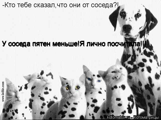 -Кто тебе сказал,что они от соседа?! У соседа пятен меньше!Я лично посчитала!!! У соседа пятен меньше... Котоматрица: -Кто тебе сказал,что они от соседа?! У соседа пятен меньше!Я лично посчитала!!! У соседа пятен меньше!Я лично посчитала!!! У соседа пятен меньше