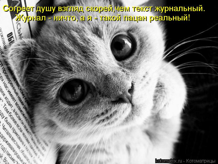 Котоматрица: Согреет душу взгляд скорей,чем текст журнальный. Журнал - ничто, а я - такой пацан реальный!