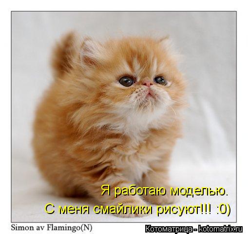 Я работаю моделью. С меня смайлики рисуют!!! :0)... Котоматрица: Я работаю моделью. С меня смайлики рисуют!!! :0)