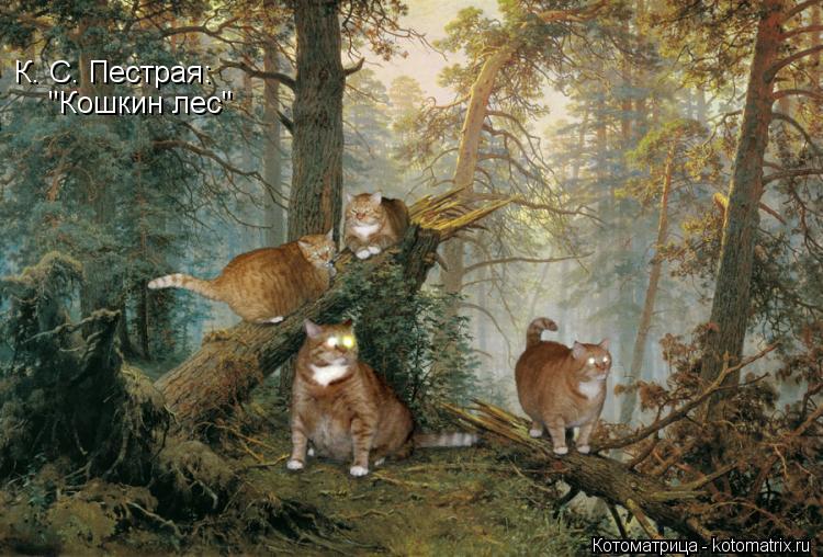 Котоматрица: "Кошкин лес" К. С. Пестрая: