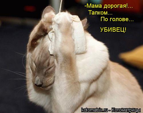-Мама дорогая!... Тапком... По голове... УБИВЕЦ!... Котоматрица: -Мама дорогая!... Тапком... По голове... УБИВЕЦ!