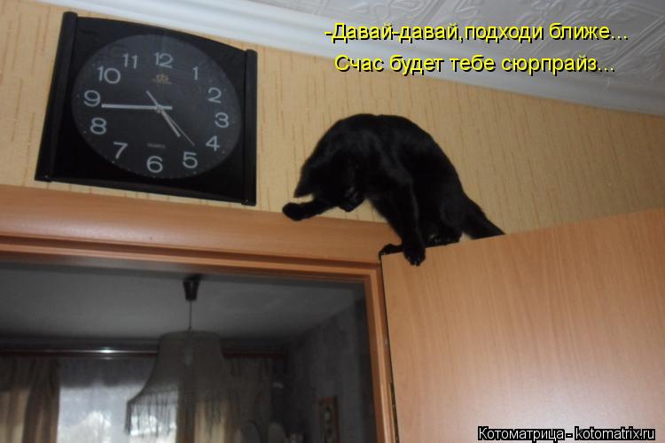 Котоматрица: -Давай-давай,подходи ближе... Счас будет тебе сюрпрайз...