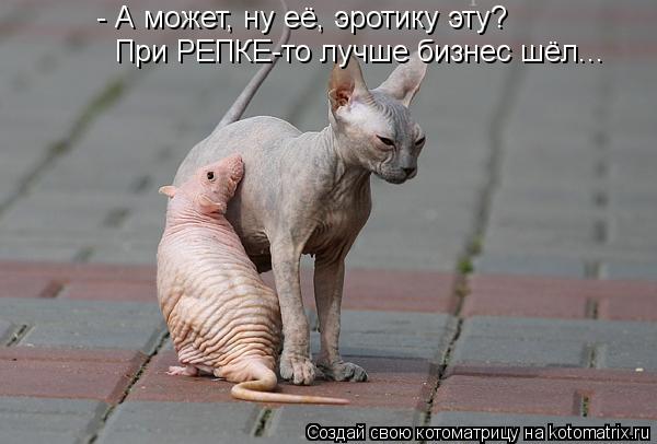 Котоматрица: - А может, ну её, эротику эту?  При РЕПКЕ-то лучше бизнес шёл...