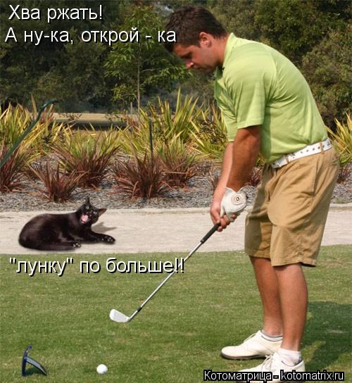 Котоматрица: Хва ржать!   "лунку" по больше!! А ну-ка, открой - ка