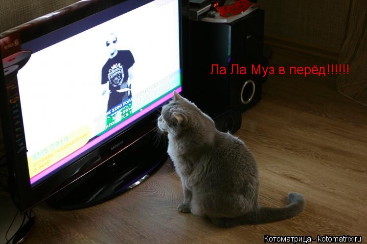 Ла Ла Муз в перёд!!!!!!... Котоматрица: Ла Ла Муз в перёд!!!!!!