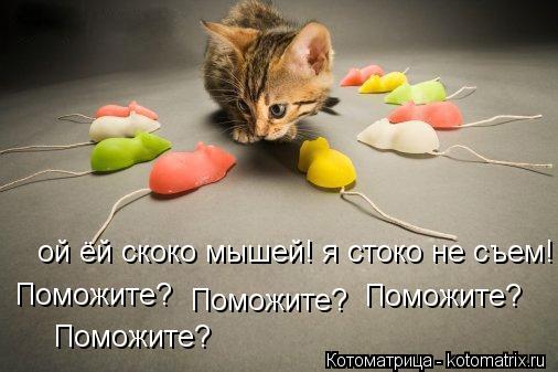 Котоматрица: ой ёй скоко мышей! я стоко не съем!  Поможите? Поможите? Поможите? Поможите?