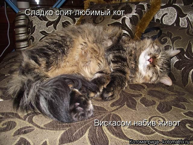 Сладко спит любимый кот Вискасом набив живот... Котоматрица: Сладко спит любимый кот Вискасом набив живот