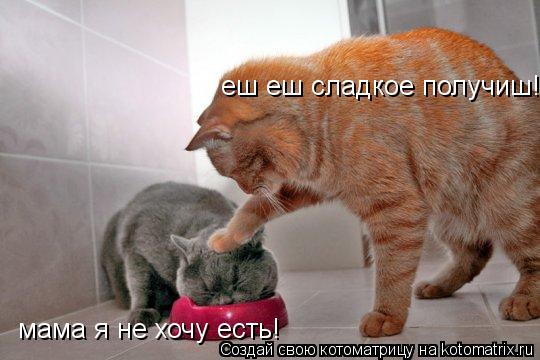 мама я не хочу есть! еш еш сладкое получиш!... Котоматрица: мама я не хочу есть! еш еш сладкое получиш!