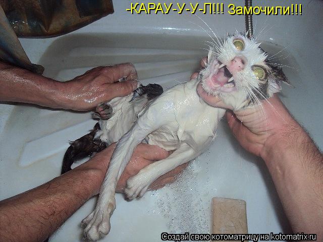 Котоматрица: -КАРАУ-У-У-Л!!! Замочили!!!