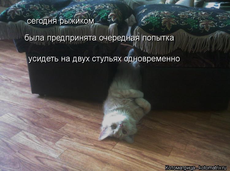 усидеть на двух стульях одновременно была предпринята очередная попытка сегодня рыжиком... Котоматрица: усидеть на двух стульях одновременно была предпринята очередная попытка сегодня рыжиком