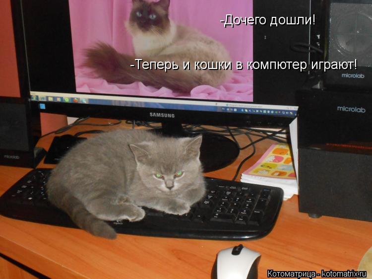 -Дочего дошли! -Теперь и кошки в компютер играют!... Котоматрица: -Дочего дошли! -Теперь и кошки в компютер играют!