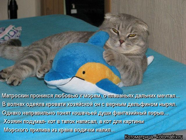 Котоматрица: Матроскин проникся любовью к морям, о плаваньях дальних мечтал... В волнах одеяла кровати хозяйской он с верным дельфином нырял. Однако непр