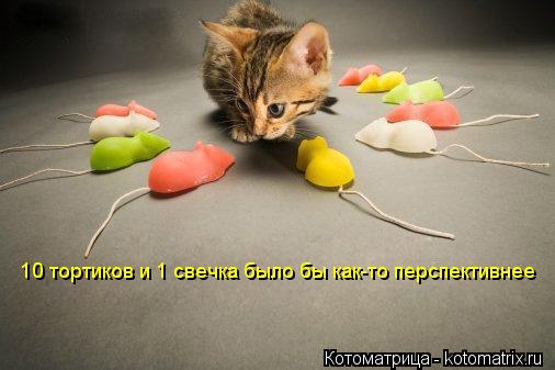 Котоматрица: 10 тортиков и 1 свечка было бы как-то перспективнее