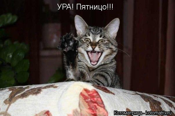 Котоматрица: УРА! Пятницо!!!