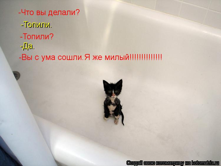 -Что вы делали? -Топили. -Топили? -Да. -Вы с ума сошли.Я же милый!!!!!!!!!!!!!!... Котоматрица: -Что вы делали? -Топили. -Топили? -Да. -Вы с ума сошли.Я же милый!!!!!!!!!!!!!!