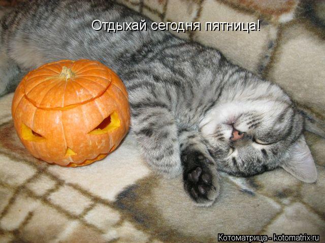 Котоматрица: Отдыхай сегодня пятница!