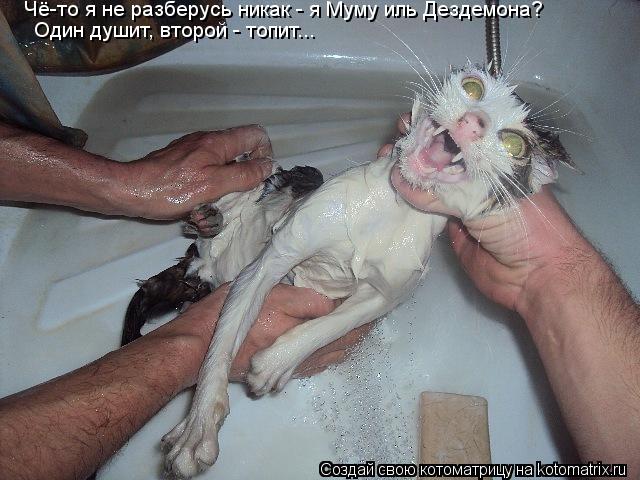 Котоматрица: Чё-то я не разберусь никак - я Муму иль Дездемона? Один душит, второй - топит...
