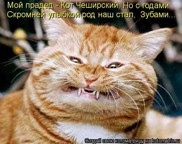 Котоматрица: Мой прадед - Кот Чеширский, Но с годами Скромней улыбкой род наш стал, Зубами...