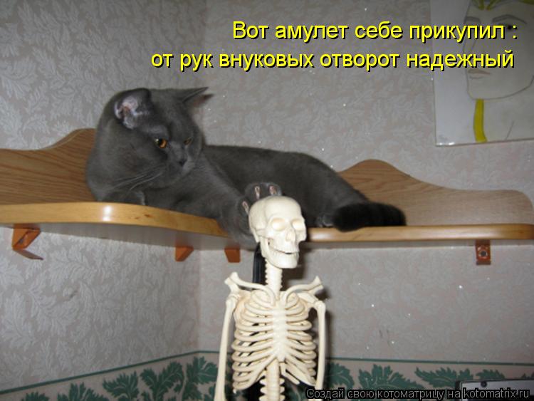 Котоматрица: Вот амулет себе прикупил : от рук внуковых отворот надежный